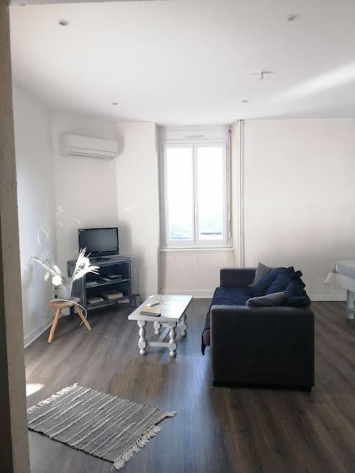 Appartement Au Calme Ροντέζ Εξωτερικό φωτογραφία